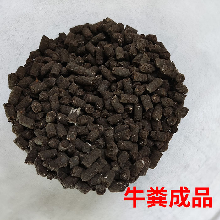 牛粪对辊挤压造粒机 干粉加工颗粒机成品